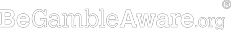 Партнёр 1